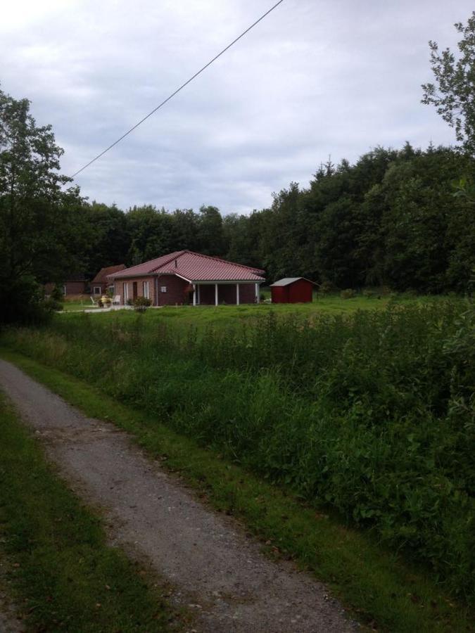 Ferienhaus Am Paradies Neuschoo Zewnętrze zdjęcie